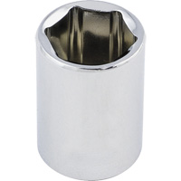 Regular Chrome Socket, 1/2", 3/8" Drive, 6 Points WestPier