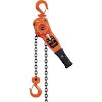 KLP Series Lever Chain Hoists, 5' Lift, 1500 lbs. (0.75 tons) Capacity, Steel Chain UAW095 | WestPier