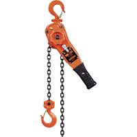 KLP Series Lever Chain Hoists, 5' Lift, 1500 lbs. (0.75 tons) Capacity, Steel Chain UAW099 | WestPier