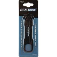 Disposable Safety Knife , Stainless Steel, Plastic Handle WestPier