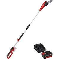 Cordless Pole Chain Saw with 4Ah Battery & Charger Starter Kit WestPier