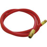 Hose Reel Connecting Hose, Air, EPDM Rubber, 1/2" dia. x 5', 300 psi, 1/2 NPT WestPier