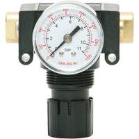 MODULAIR 200 Acetal Piston Regulator, 1/4" NPT, 150 PSI Max. PSI, In Line/Modular WestPier