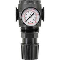 MODULAIR 300 Zinc Diaphragm Regulator, 3/8" NPT, 300 psi Max. PSI, In Line/Modular WestPier