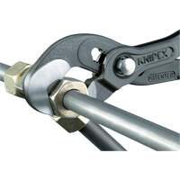 Pince Raptor, 10" WestPier