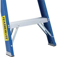 Industrial Duty Stepladders (6300 Series), 4', Fibreglass, 250 lbs. Capacity, Type 1 WestPier