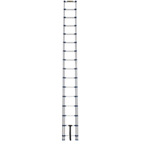 Telescopic Ladder, 3' - 15.5', Aluminum, 250 lbs. Capacity, Type 1 VC252 | WestPier