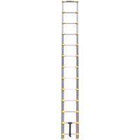 Telescopic Ladder, 3' - 12', Aluminum, 250 lbs. Capacity, Type 1 WestPier