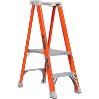 Contractor and Utility Ladders