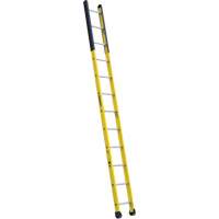 Single Manhole Ladder, 12', Fibreglass, 375 lbs., CSA Grade 1AA WestPier