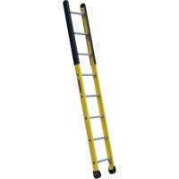 Single Manhole Ladder, 8', Fibreglass, 375 lbs., CSA Grade 1AA WestPier