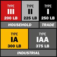 Step Ladder with Paint Tray, 10', Aluminum, 225 lbs. Capacity, Type 2 WestPier