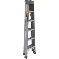 Step Ladder with Paint Tray, 6', Fibreglass, 225 lbs. Capacity, Type 2 WestPier