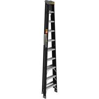 Step Ladder with Paint Tray, 10', Fibreglass, 250 lbs. Capacity, Type 1 WestPier