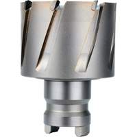 Fraise avec tenon &agrave; changement rapide Drive Hawg, Diam&egrave;tre de 2", Acier, Profondeur de la coupe de 1" WestPier