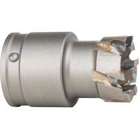 Quick Change Steel Plate Cutter WestPier