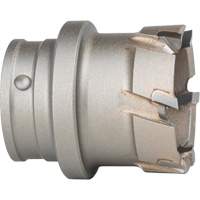 Quick Change Steel Plate Cutter WestPier