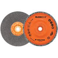Blendex U Finishing Cup Disc, 5" Dia., Fine Grit, Silicon Carbide WestPier