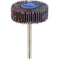 3/8" Flapwheel Sanding Bit - 80 Grit WestPier