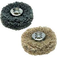 2-Piece EZ Lock Finishing Abrasive Buffs WestPier
