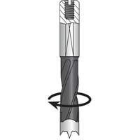 Dowel Drill, Carbide WestPier