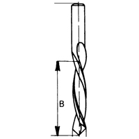 Right Hand Drill, Carbide WestPier