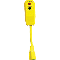 Plug & Cord Sets, 120 V, 15 A, 9' Cord XA463 | WestPier
