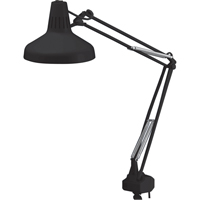 Heavy-duty Combination Task Light, 22/60 W, Fluorescent/Incandescent, 45" Neck, Black WestPier