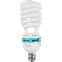 Ampoules pour lampe de travail Wobblelight<sup>MD</sup>, 85 W XC748 | WestPier