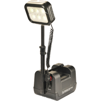 9430 Remote Area Lighting Systems, LED, 3000 Lumens, Plastic Housing XC817 | WestPier