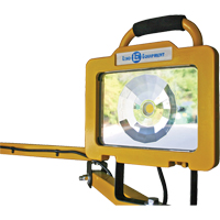 Heavy-Duty Dock Light, 40" Arm, 38 W, LED Lamp, Metal WestPier