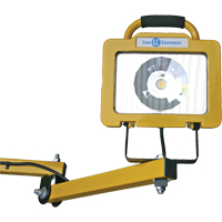 Heavy-Duty Dock Light, 40" Arm, 38 W, LED Lamp, Metal WestPier