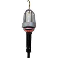 Baladeuses pour emplacements dangereux, DEL, 20 W, 2400 Lumens WestPier