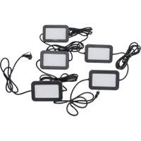 Chaîne de baladeuses DEL, 5 Lumi&egrave;res, 50' lo, Boîtier en Plastique WestPier