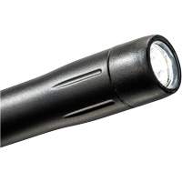 Penlight, LED, 139 Lumens, Plastic Body, AAA Batteries, Included XI293 | WestPier
