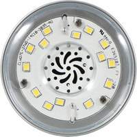 Lampe haute luminosité Ultra LED<sup>MC</sup>, DHI, 27 W, 3600 lumens, base Moyen XI553 | WestPier