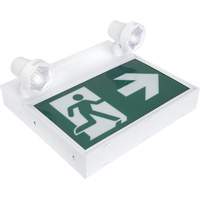 Running Man Sign with Security Lights, LED, Battery Operated/Hardwired, 12-1/10" L x 11" W, Pictogram XI790 | WestPier