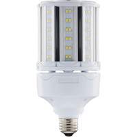 Ampoule HID de remplacement sélectionnable ULTRA LED<sup>MC</sup>, E26, 18 W, 2700 lumens XJ275 | WestPier