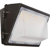 Non-Cutoff Wall Pack, LED, 120 - 277 V, 75 - 110 W, 9.33" H x 6.65" W x 14.5" D WestPier