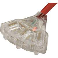 Generator Extension Cord with Tritap, STW, 10 AWG, 3 Outlet(s), 25' WestPier