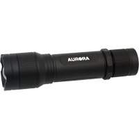 Lampe de poche IP67, DEL, 2000 lumens, Piles Rechargeable WestPier